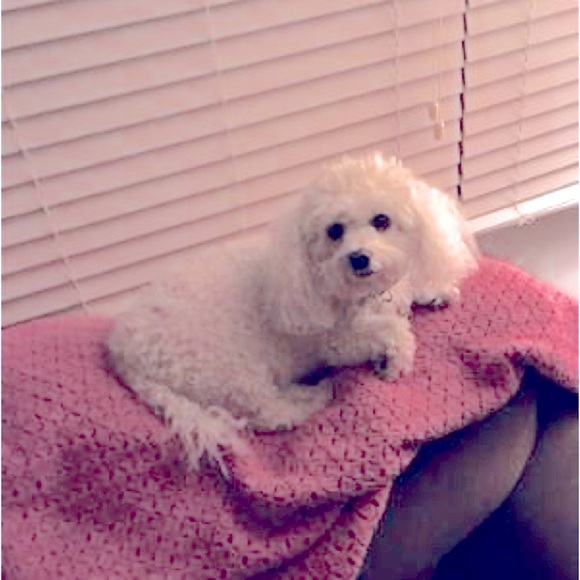 Noah - Picture 4 of 4